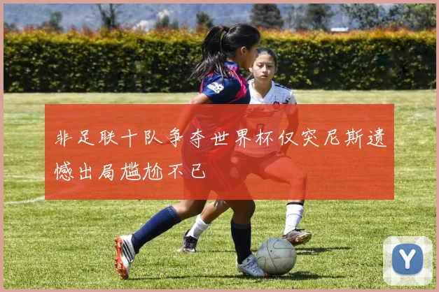 非足联十队争夺世界杯仅突尼斯遗憾出局尴尬不已