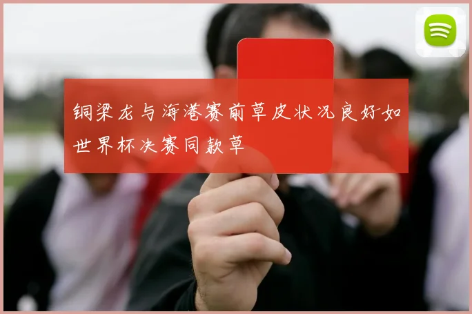 铜梁龙与海港赛前草皮状况良好如世界杯决赛同款草
